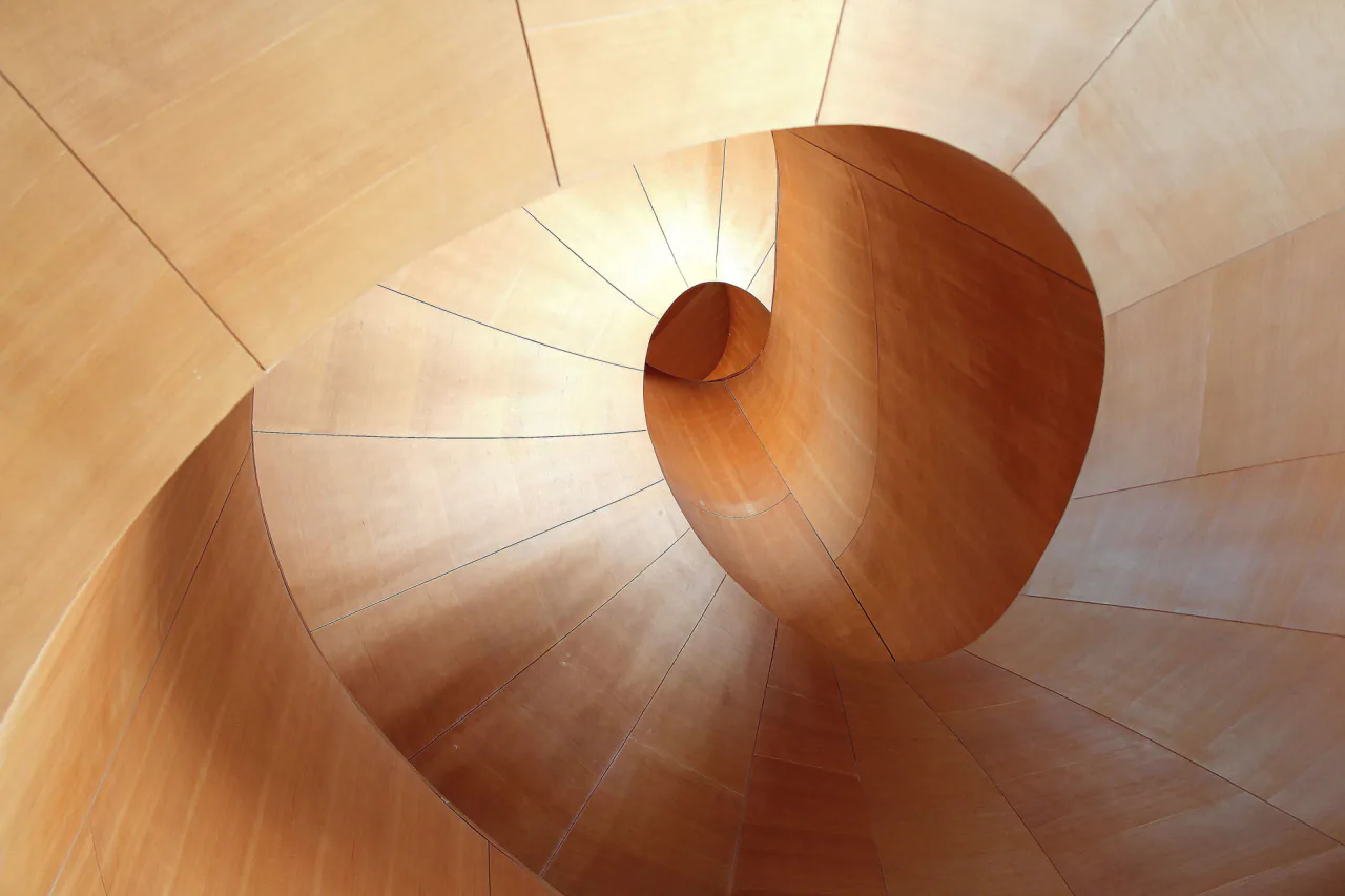 Curved wooden interior architecture
